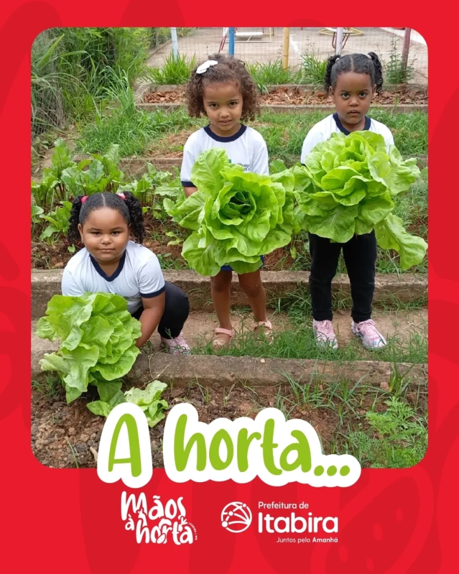 Mãos à Horta: Em Menos de Um Mês, Projeto Colhe Primeiros Frutos e Inúmeras Lições em Itabira
